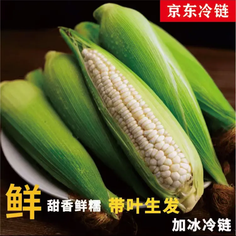 萍萍家【带叶鲜发 冷链运输】甜糯玉米新鲜粗粮轻食孕妇现摘包邮商品图