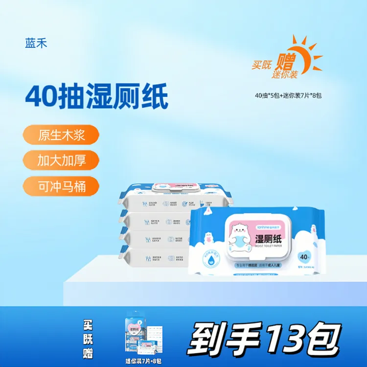 蓝禾家庭用实惠装5包加厚带盖屁屁清洁去污温和湿厕纸家用湿纸巾