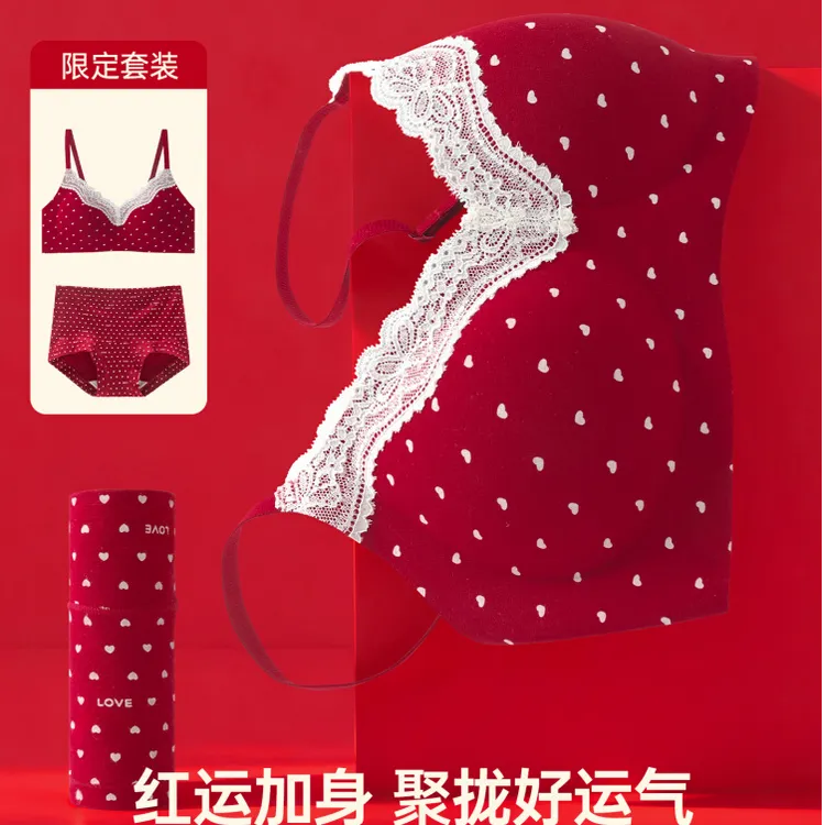 内衣女聚拢小胸蕾丝性感纯欲2026新款收副乳防下垂纯棉无痕文胸罩