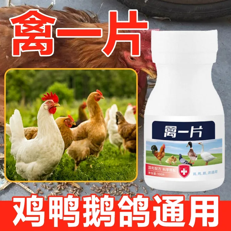 禽一片禽类鸡鸭鹅呼吸道呼噜咳嗽呆立精神不振养殖场养鸡喂鸡专用