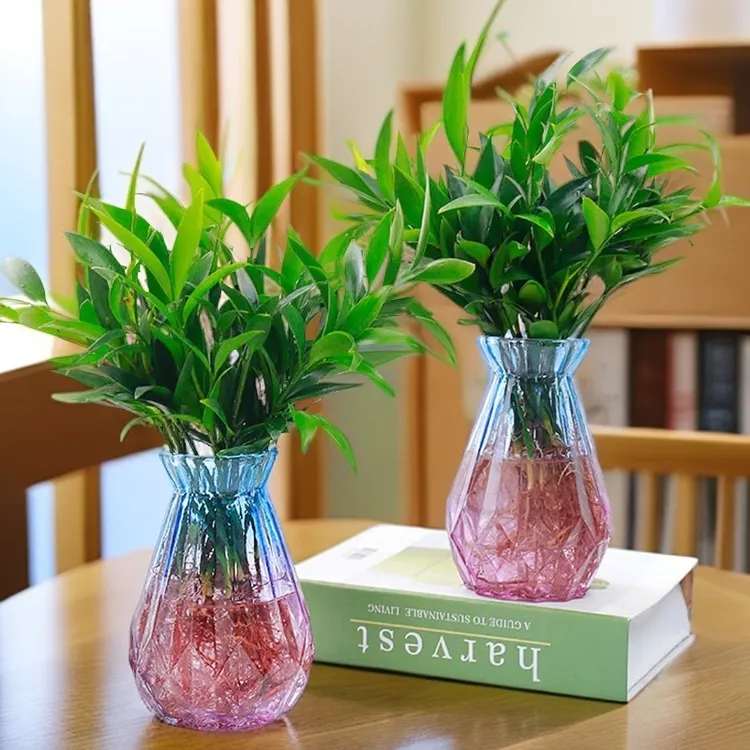 竹柏盆栽水培新宠植物室内客厅卧室桌面绿植盆栽花卉四季常青商品图