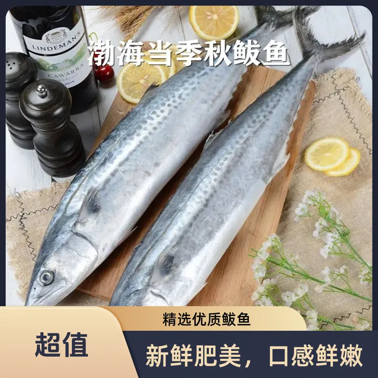 渤海湾深海捕捞新鲜鲅鱼燕鱼燕鲅鱼马鲛鱼十斤冷冻海鲜包邮