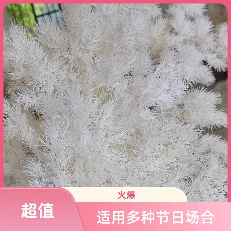 100-120克装永生蓬莱松百搭花材适用于手工diy与花店装饰