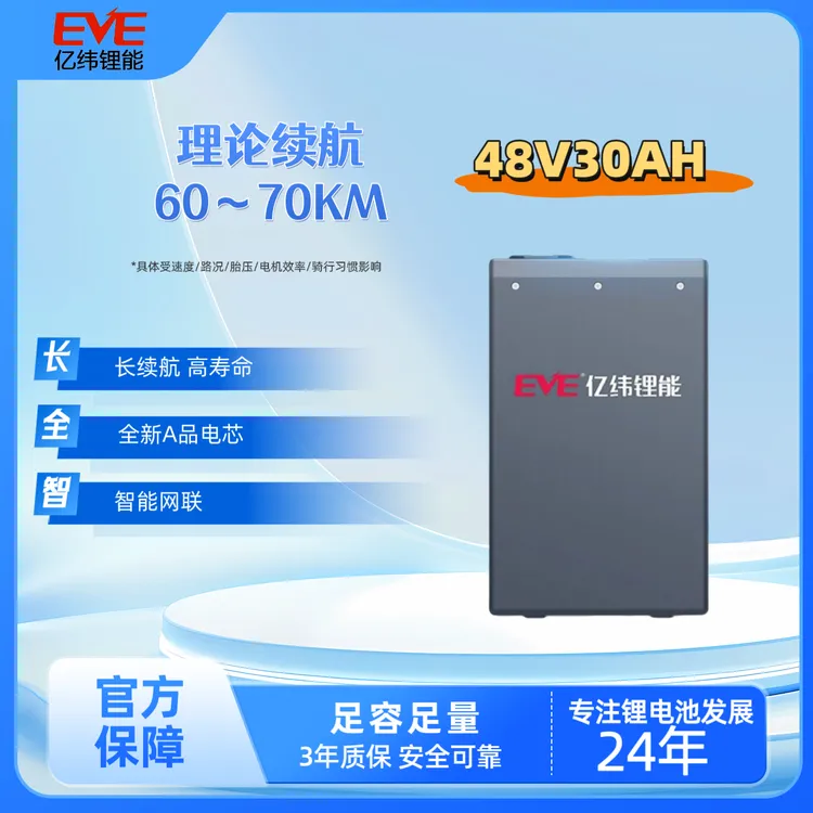 亿纬锂能/磷酸铁锂/电动车电瓶锂电池/车规级全新A品电芯/48V30