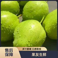 【新鲜蜜甜香酥梨】香甜多汁 整箱带箱5斤左右 太原晋中吕梁忻州拍