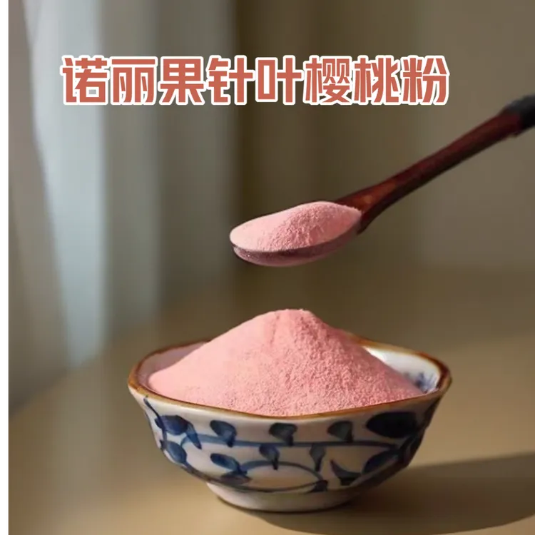 诺丽果针叶樱桃粉酵素粉 大餐伴侣果蔬粉 夏天冲泡饮品