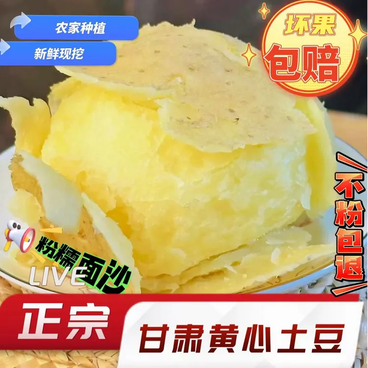 甘肃2025年新鲜现挖高山种植黄皮黄心软糯香甜土豆