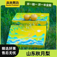 【本来果坊】山东秋月梨 当季新鲜水果 甜蜜细腻 爽口多汁 【SLJ-SF】