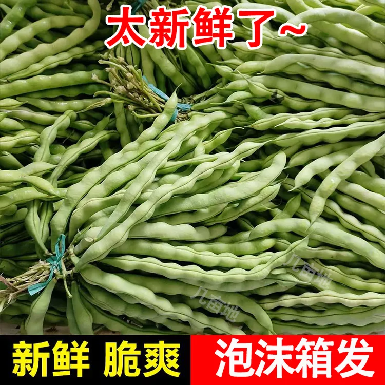 云南农家自种四季豆新鲜蔬菜豆角现摘现发农家自种鲜嫩棒豆