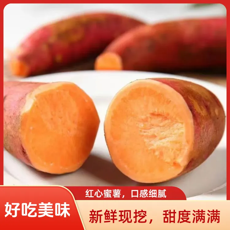 赣南特产安远红心蜜薯农家新鲜现挖红薯粉糯板栗味红心地瓜蜜薯