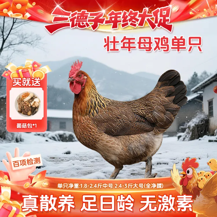 三德子 【壮年母鸡1只】炖汤老母鸡营养价值高喝鸡汤 包冰率不含冰