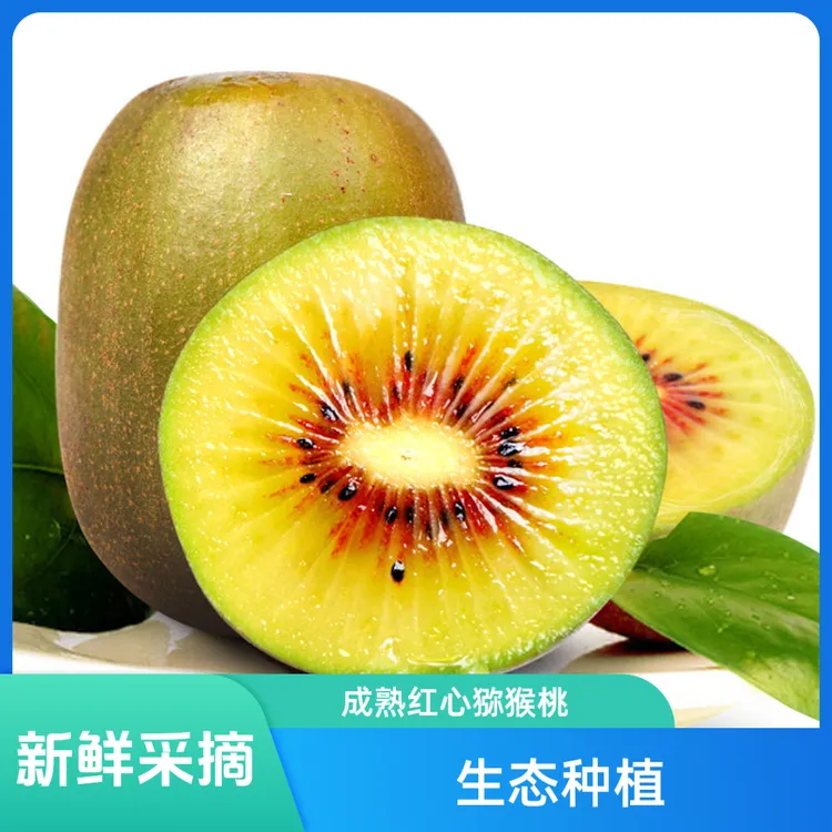 咪佳甜四川蒲江红心猕猴桃【卖爆】当季新鲜水果奇异果整箱包邮