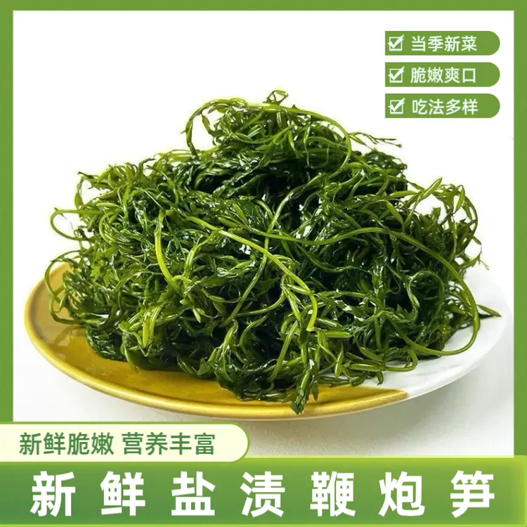 鞭炮笋火锅食材海藻菜羊栖凉拌菜海草火炮菜长寿菜龙须盐渍马尾藻