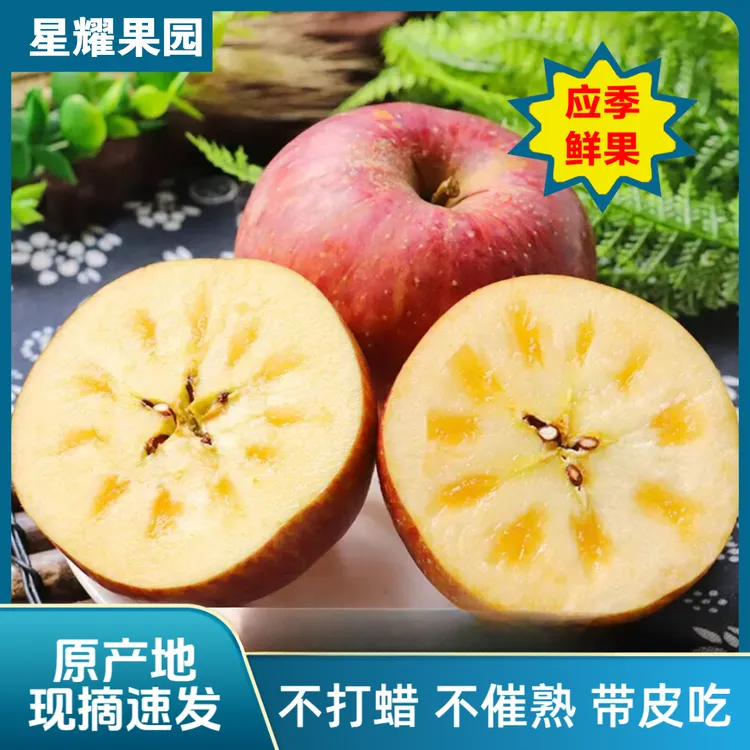 应季/当季苹果昭通苹果脆甜多汁不催熟不打蜡不打催红素