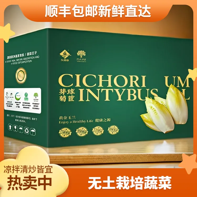 3斤菊苣菜礼盒新鲜金玉兰菜芽球菊苣玉兰菜无土栽培蔬菜顺丰包邮