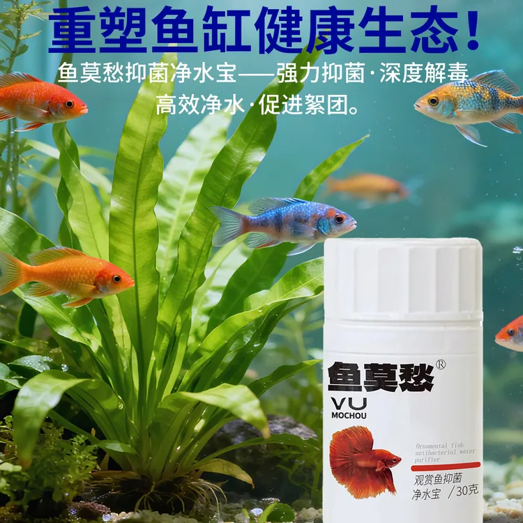 【龙鱼专用】龙莫愁抑菌净水宝66克分解各种毒素净化水质