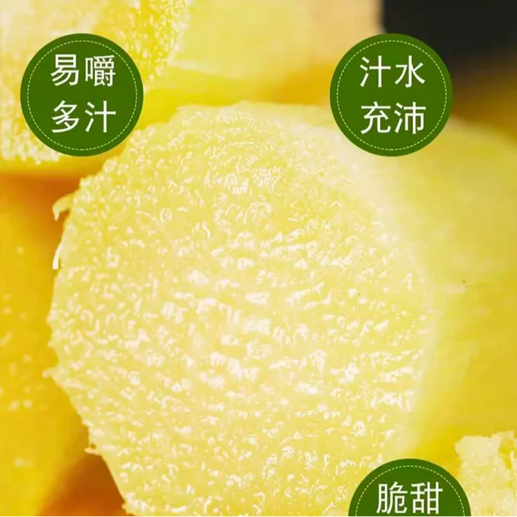 浅润云南黄金甘蔗爆甜脆嫩清甜水果黄皮甘蔗应季产地现砍鲜甘蔗