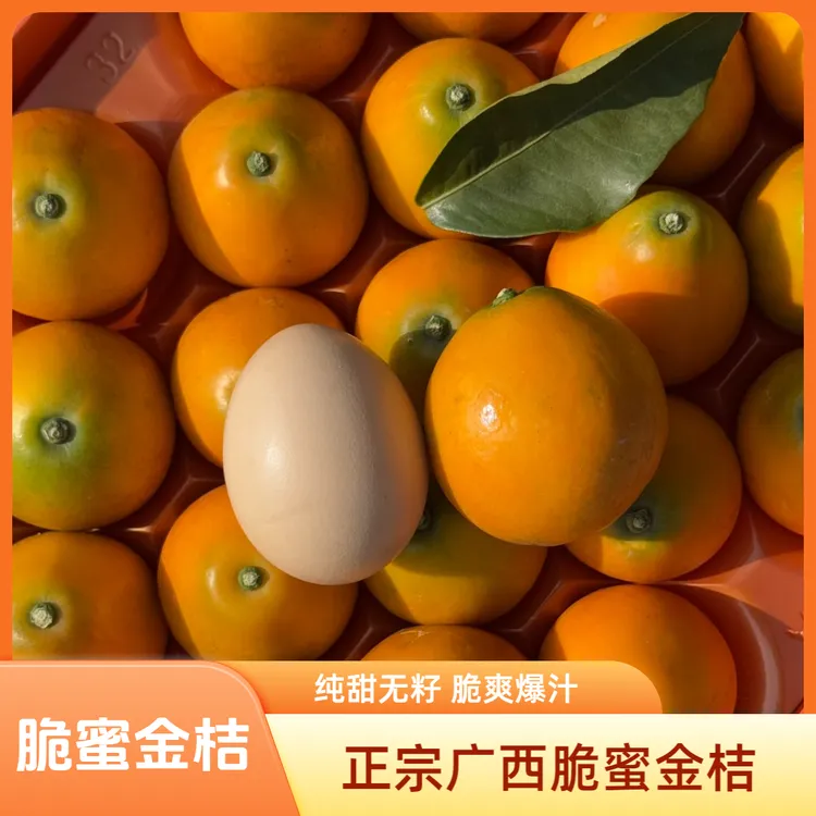 【现摘现发】脆蜜金桔正宗第三代大果金桔脆蜜金柑纯甜无酸脆蜜金桔