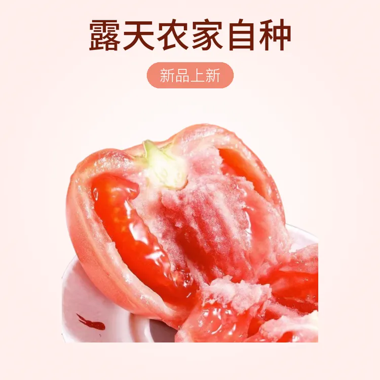 云南露天沙瓢西红柿露天农家自种