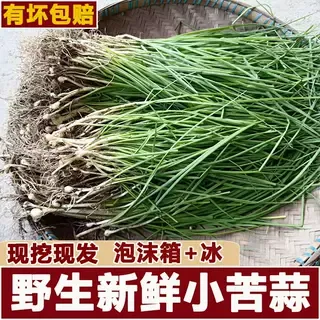 贵州新鲜苦蒜野葱野菜现挖小根蒜胡葱野生葱百香葱苦藠头薤白25年