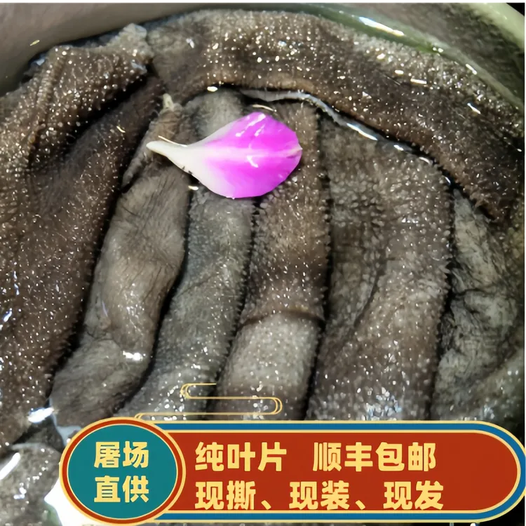 屠场鲜毛肚 固形物含量95%