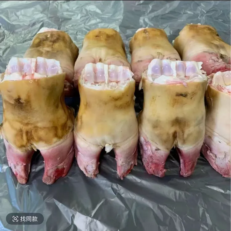 高山散养新鲜黄牛牛蹄5斤牛蹄子手工去毛牛脚新鲜牛蹄子原味美味
