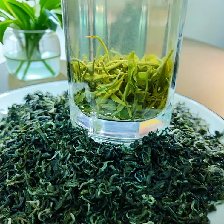 2025年明前茶都匀毛尖高山绿茶口感茶叶好喝出春天感觉板栗香味