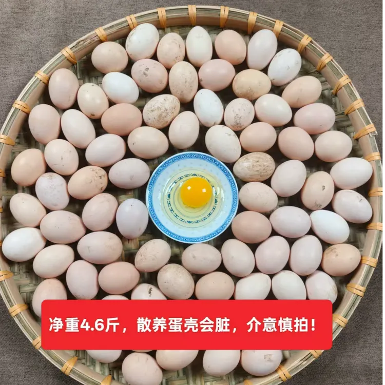 豫农萃果园散养原生态无抗土鸡蛋