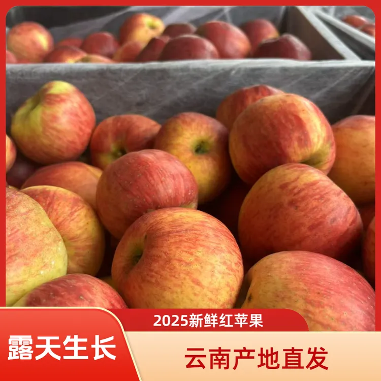 （云南丑苹果）2025新货红苹果产地直发酸甜孕妇解馋新鲜水果