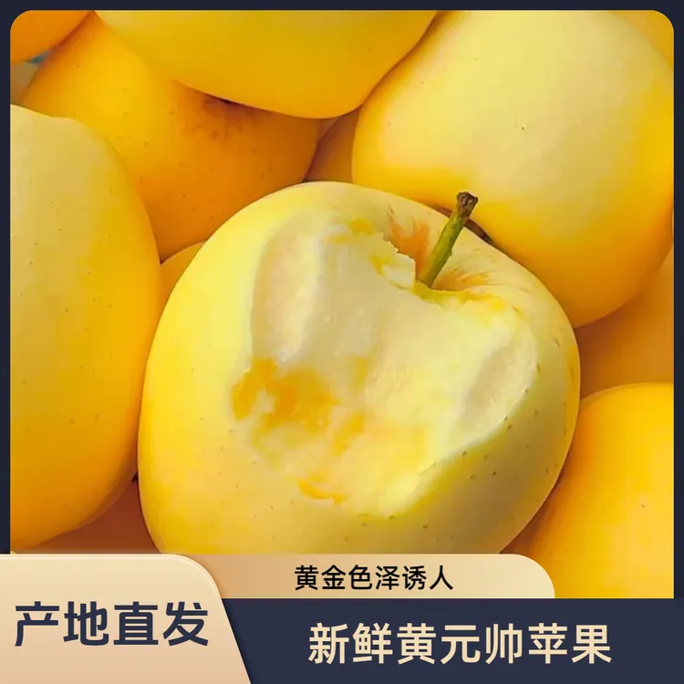 【小刘同学】大连东马屯黄脸黄元帅苹果先脆后面顺丰包邮