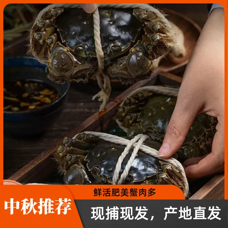 中秋送礼【精品蟹全母3.2-2.8两活蟹】大闸蟹全母十只活蟹/产地直发