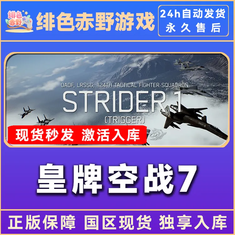 皇牌空战7  豪华版 激活码 入库