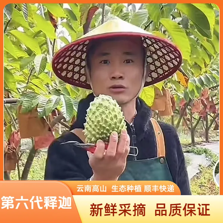 第六代凤梨释迦果3斤起 果园当天新鲜现摘精品优质果顺丰包邮