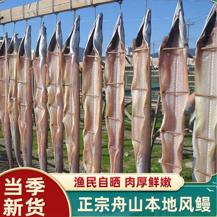 舟山本地风鳗鳗筒鳗鱼干  6-7成干精选 自然晒干
