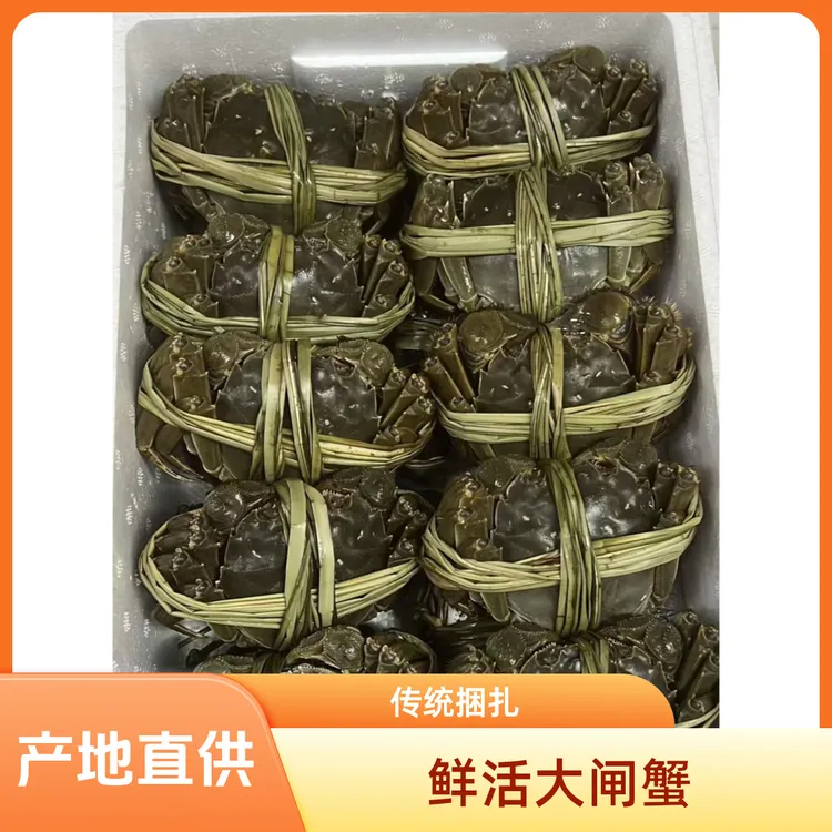 【活蟹现发】五河沱湖精品大闸蟹3.5两公蟹到手10只礼袋装