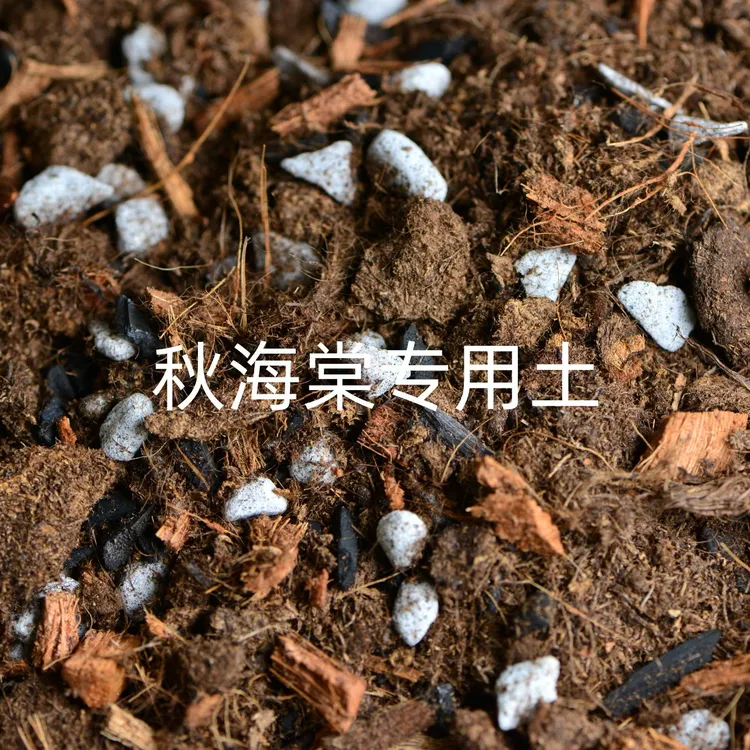 秋海棠专用土10L 老品氏泥炭+精洗竹炭+精洗珍珠岩+低盐泡发椰壳