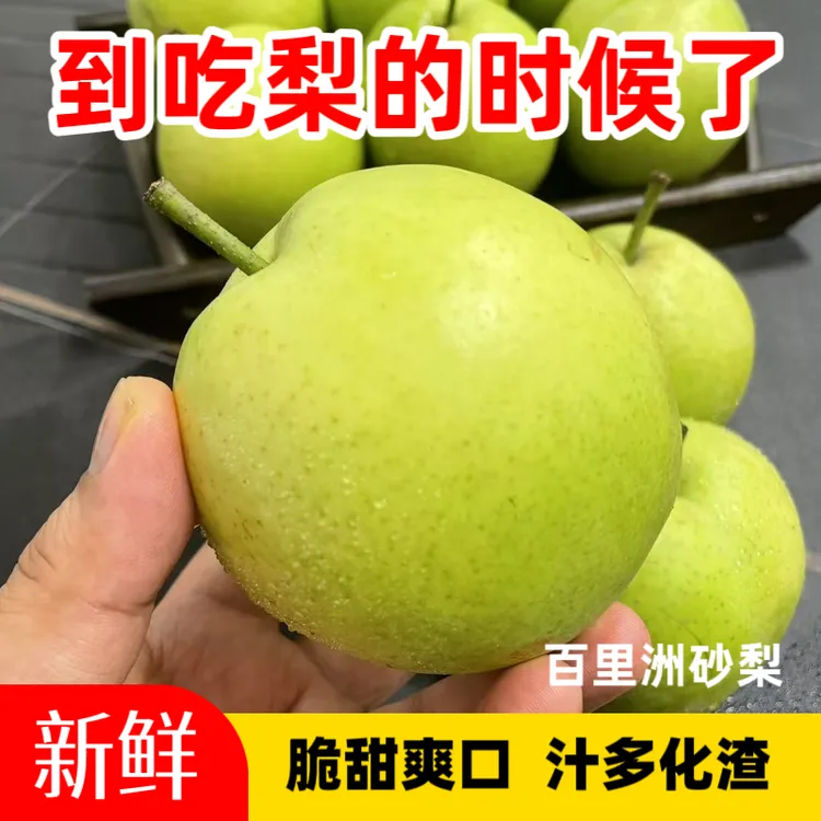 湖北枝江百里洲砂梨翠玉梨特产新鲜现摘脆甜多汁青皮香甜水果鲜果