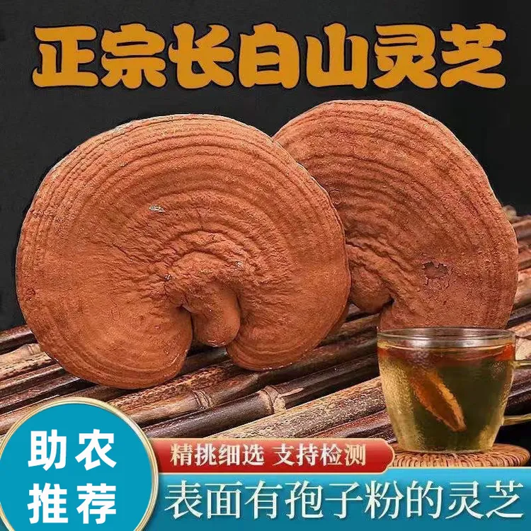 【助农推荐官专属】长白山赤灵芝带孢子粉可泡酒煮水煲汤的灵芝干货