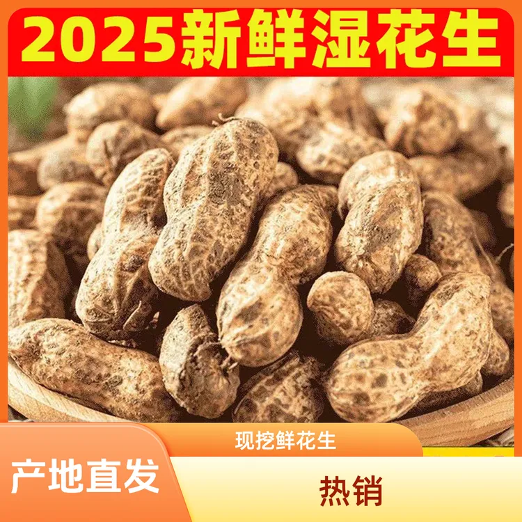 【2025年】新鲜现挖带壳粉皮湿花生可生吃水煮农家自种当季新花生