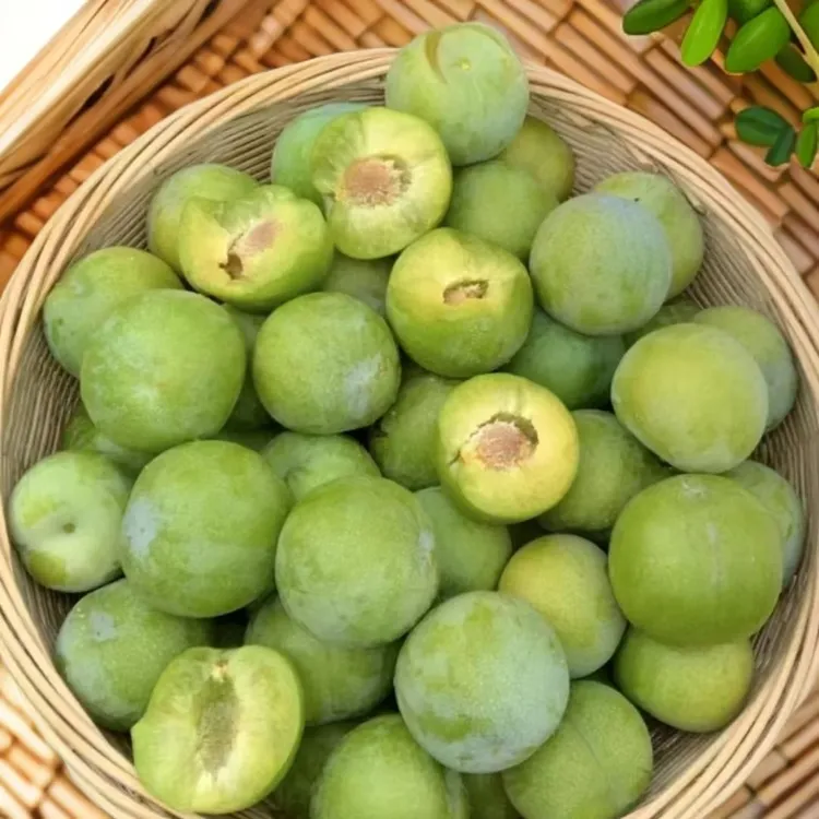 重庆开州正宗脱骨本地中熟李子应季新鲜采摘水果脆甜多汁肉厚现发