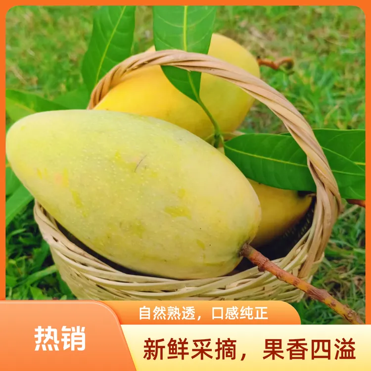 新鲜应季【精选】云南保山金煌芒香甜多汁水果