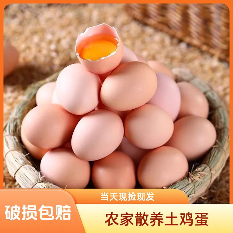 【伏羲山50枚】山林散养土鸡蛋新鲜虫草蛋营养健康24h甄选40-50g商品图