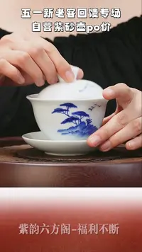 茶壶紫砂A宜兴紫砂壶9