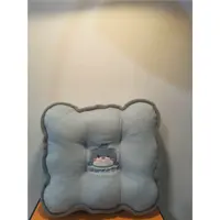 SX女士坐垫12345SX