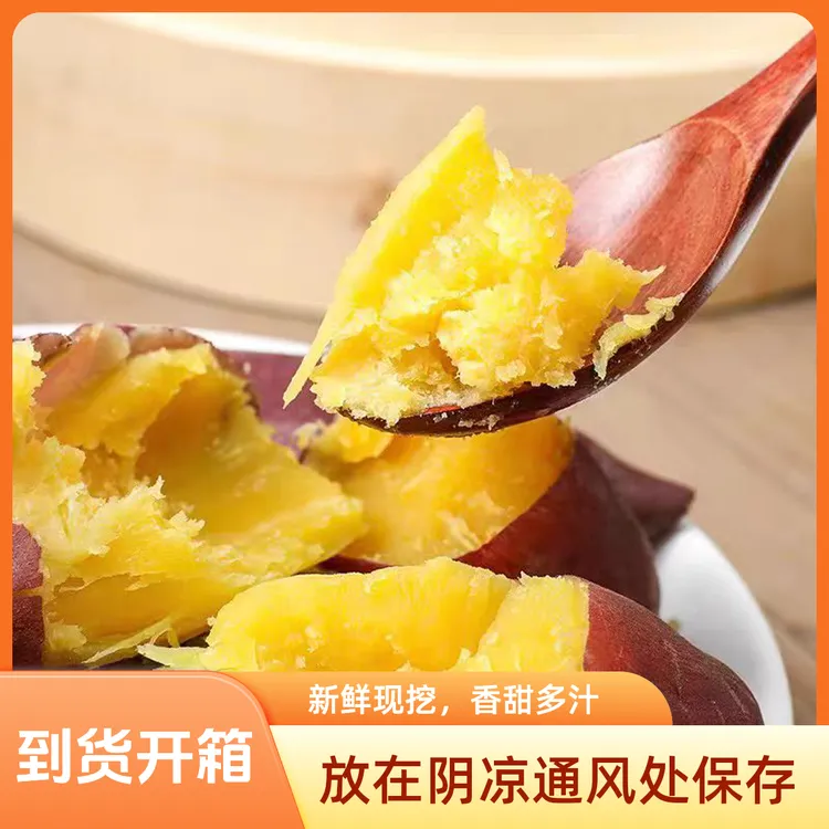 【小伊】2025年现挖东北沙土地黄壤地瓜8斤