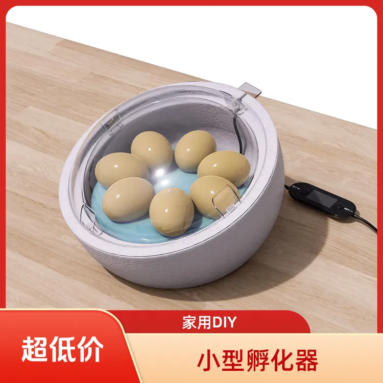 孵化器 小型家用DIY孵化器BibiBirds 可孵化芦丁鸡鹌鹑鸭鹅鹦鹉等