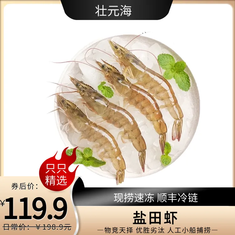 【壮元海】复州湾盐田虾约30-40只/斤*3斤嫌小勿拍！保鲜不保活