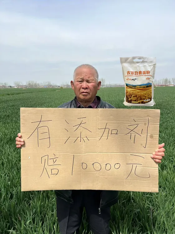 【爷爷家的面粉】河南自磨面粉含胚芽麦芯优质无添加5斤装农家