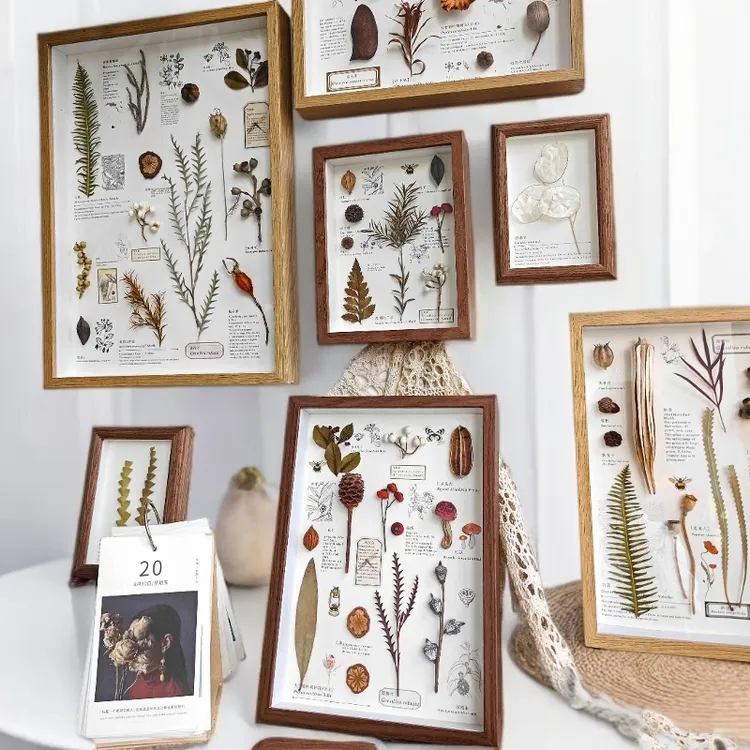 【花伴水】植物标本装饰画相框家居摆台法式复古百搭电视背景装饰画
