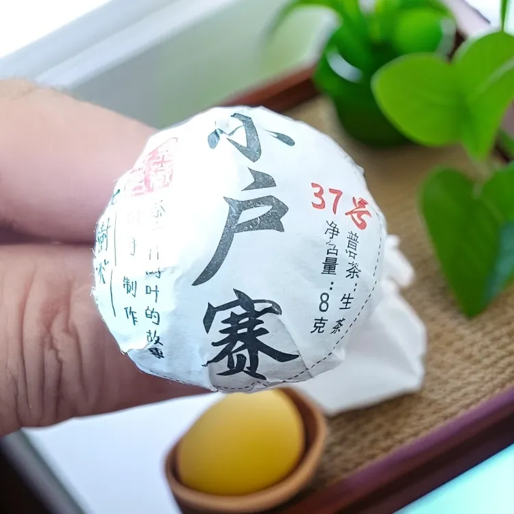 10+1 颗  2024春小户赛 37 号 古树龙珠普洱高香甘甜水柔茶气足